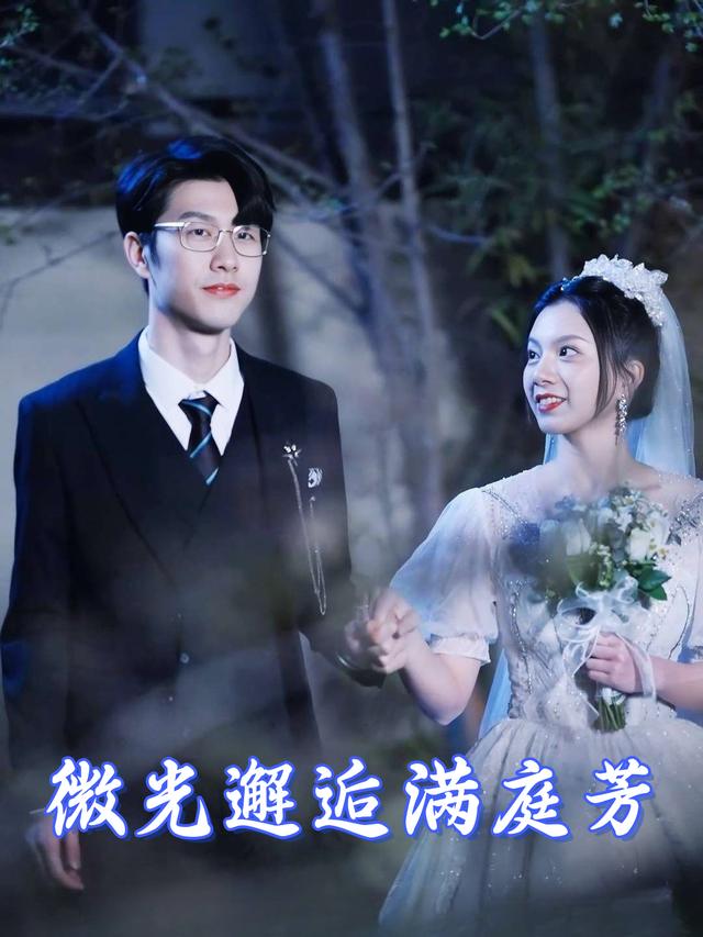 微光邂逅满庭芳封面
