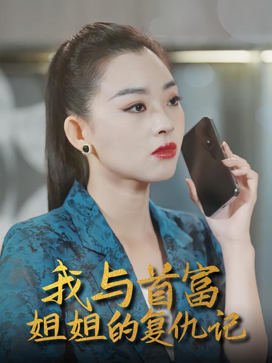 我与首富姐姐的复仇记封面