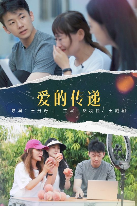 爱的传递封面