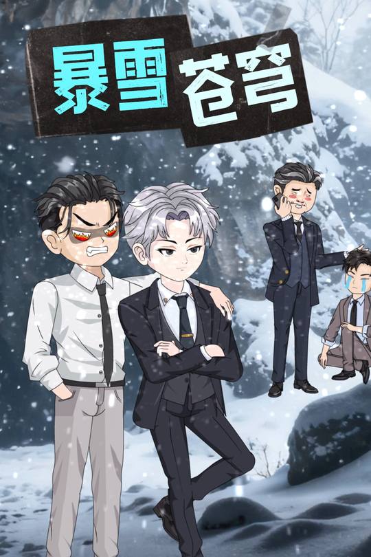 暴雪苍穹封面