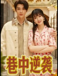 巷中逆袭封面
