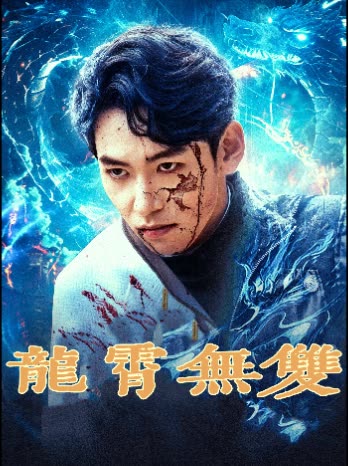 龙霄无双封面