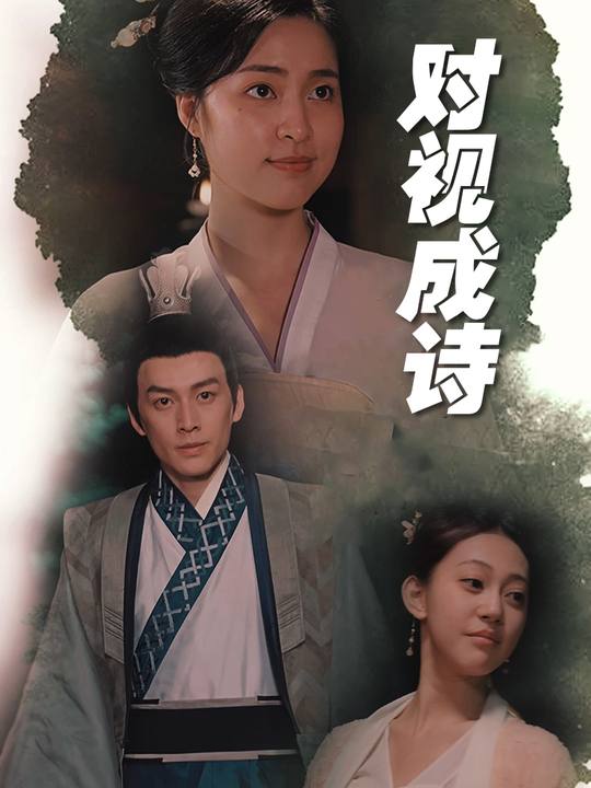 对视成诗封面