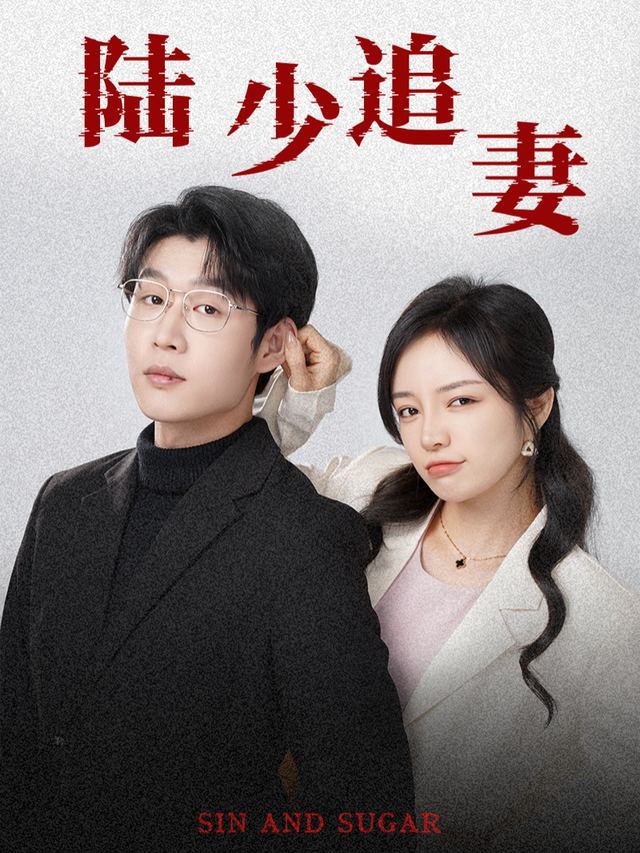 陆少追妻封面