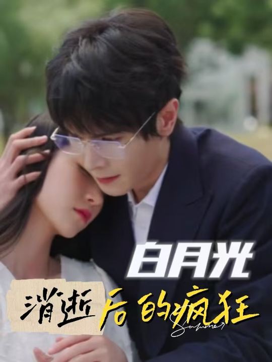 白月光消逝后的疯狂封面