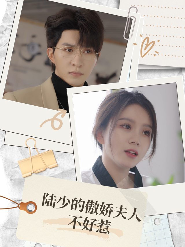 陆少的傲娇夫人不好惹封面