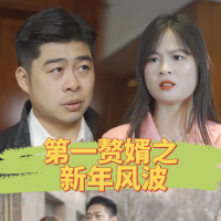 第一赘婿之新年风波封面