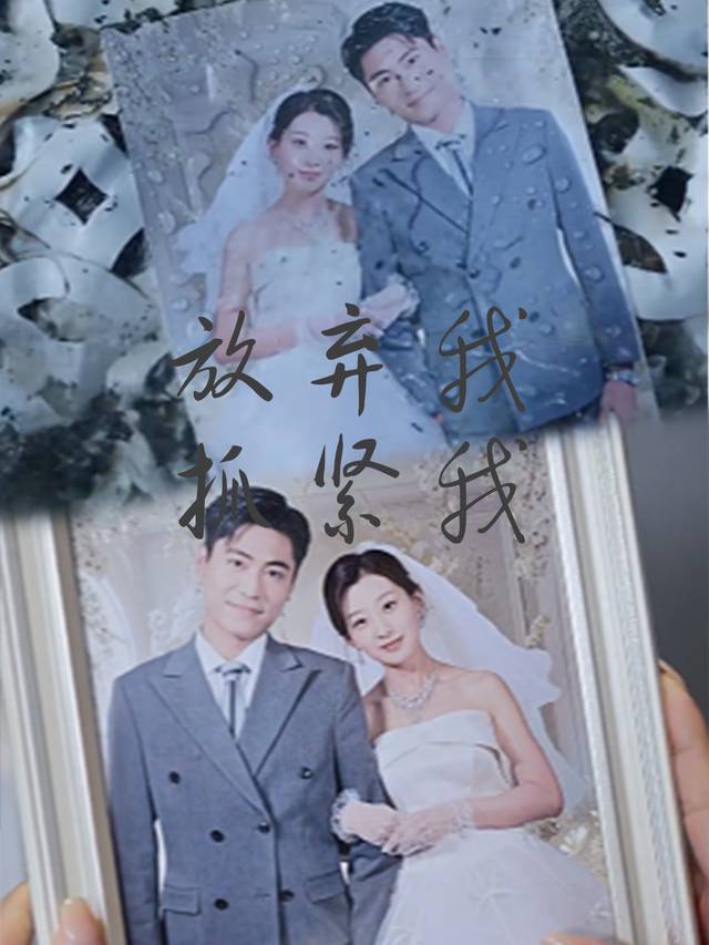 放弃我抓紧我封面