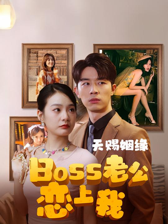 天赐姻缘：BOSS老公恋上我封面