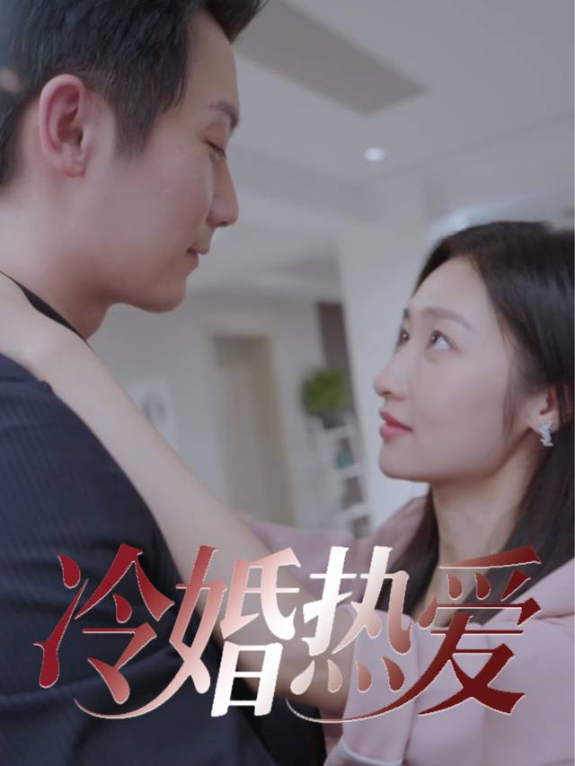 冷婚热爱封面