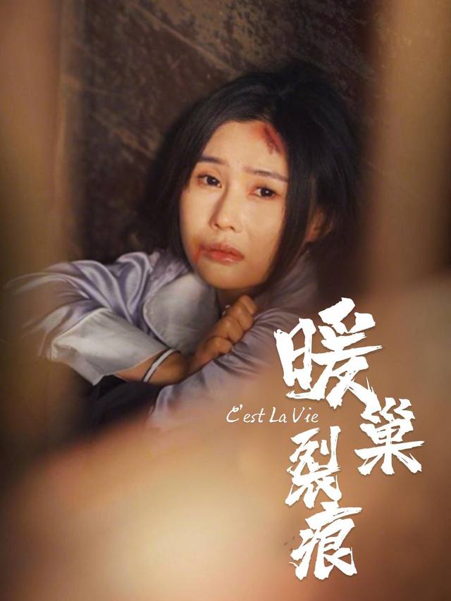 暖巢裂痕封面