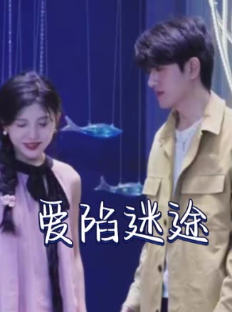 爱陷迷途封面
