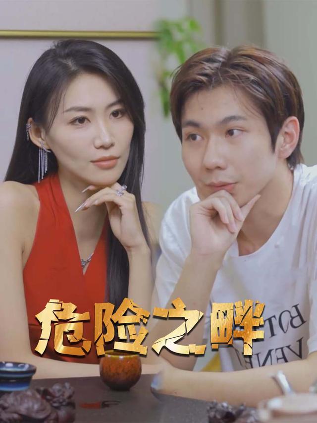 危险之畔封面