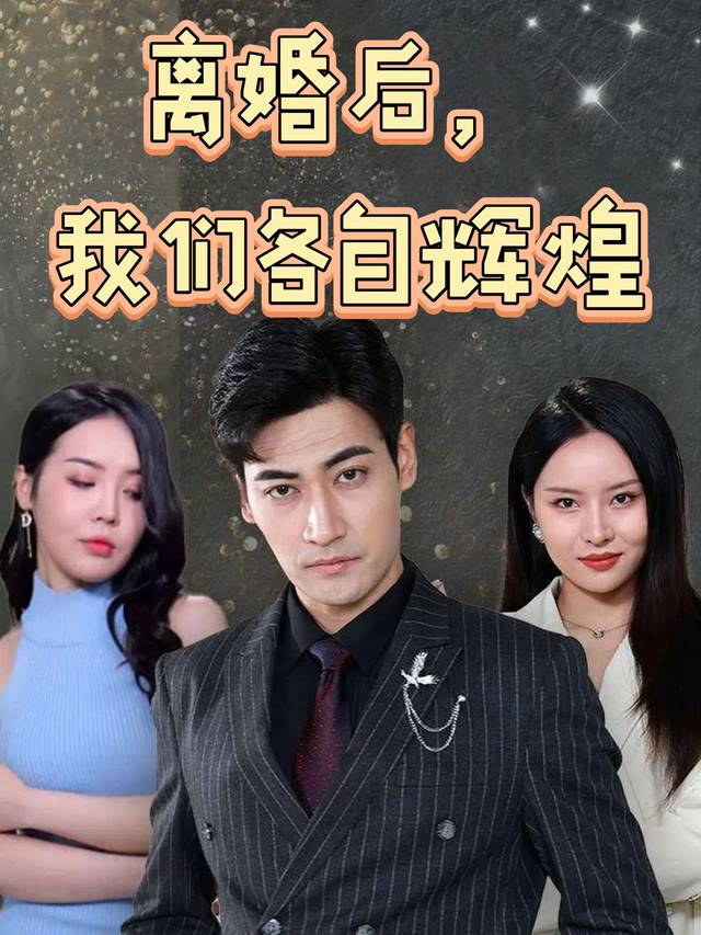 离婚后,我们各自辉煌封面