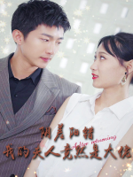 阴差阳错我的夫人竟然是大佬封面