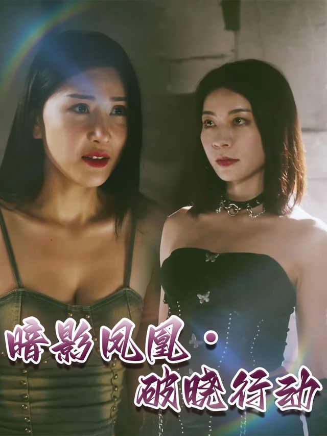 暗影凤凰・破晓行动封面
