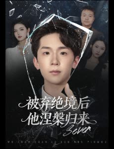 被弃绝境后他涅槃归来封面