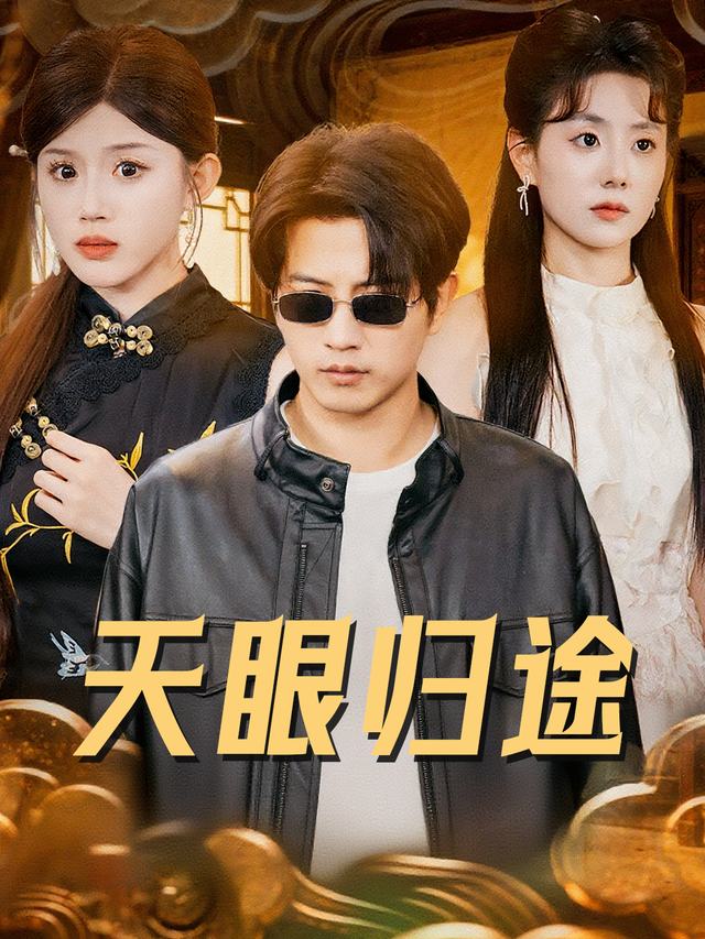 天眼归途封面