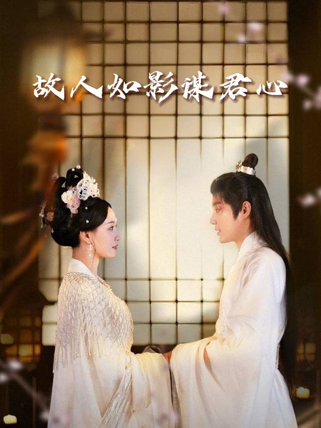 故人如影谋君心封面