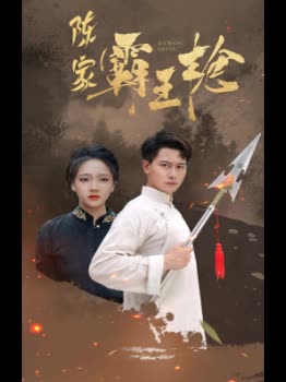 陈家霸王枪封面
