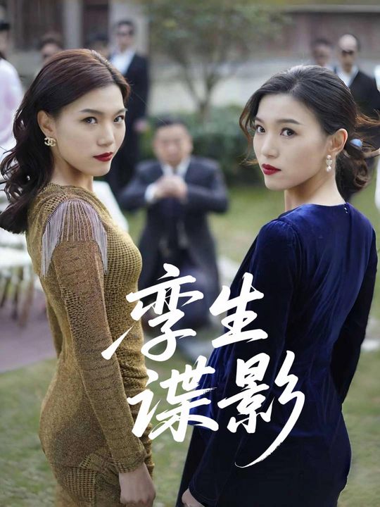 孪生谍影封面
