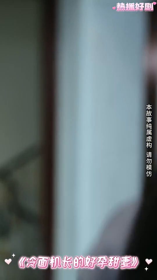 冷面机长的好孕甜妻封面