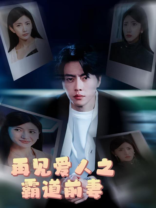 再见爱人之霸道前妻封面