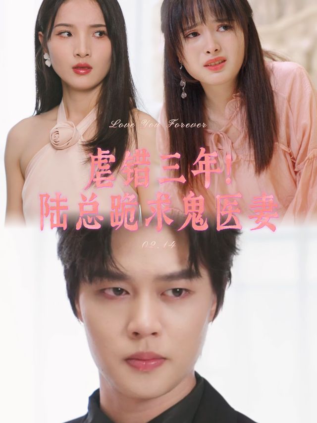 虐错三年!陆总跪求鬼医妻封面