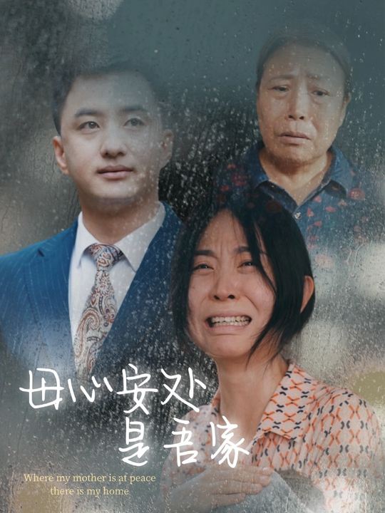 母心安处是吾家封面