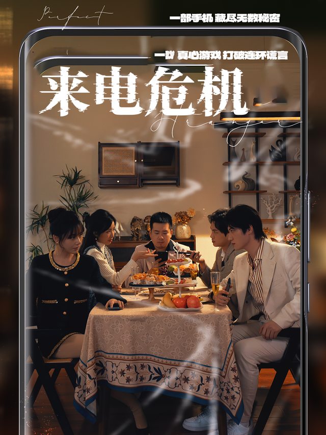 来电危机封面