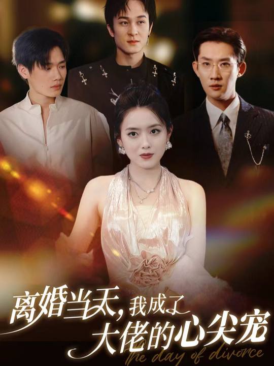 离婚当天我成了大佬的心尖宠封面