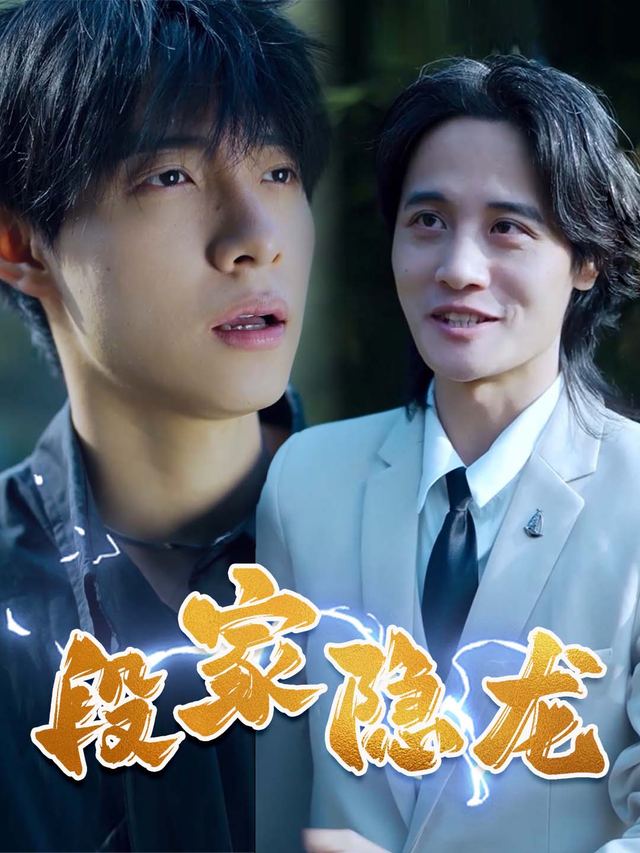 段家隐龙封面