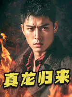 真龙归来封面
