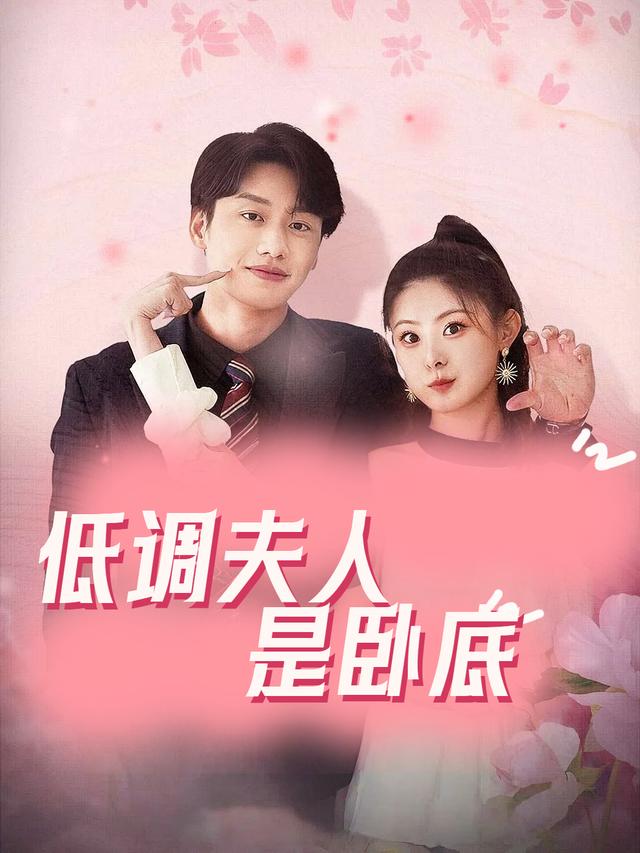 低调夫人是卧底封面