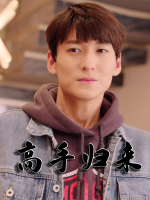高手归来封面
