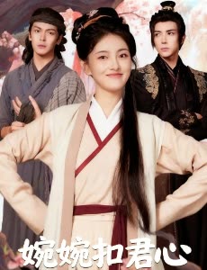 婉婉扣君心封面