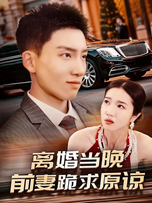 离婚当晚前妻跪求原谅封面