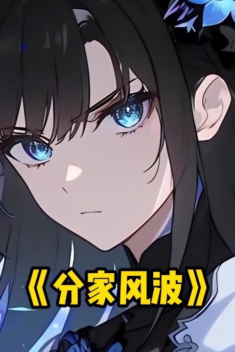 分家风波封面