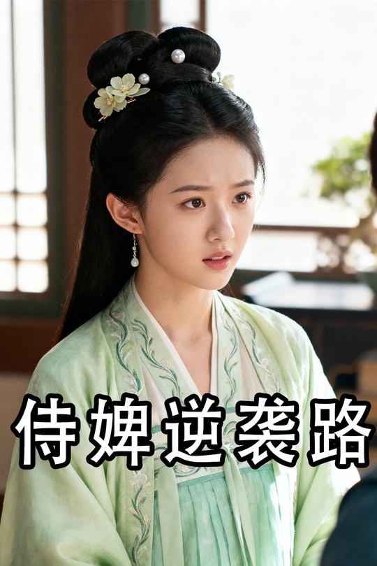 侍婢逆袭路封面