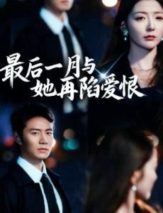 最后一月与她再陷爱恨封面