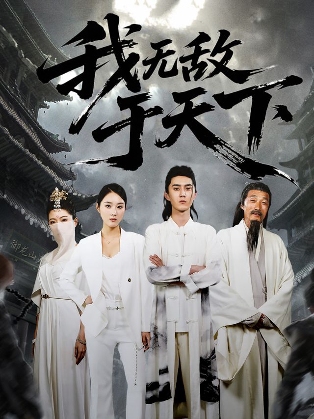 我无敌于天下封面