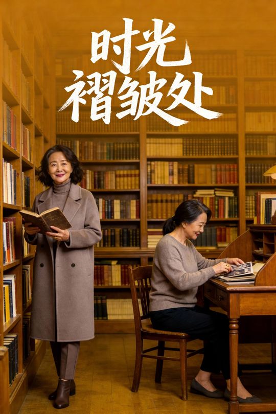 时光褶皱处封面