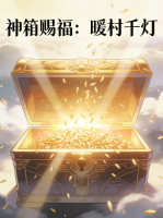 神箱赐福：暖村千灯封面