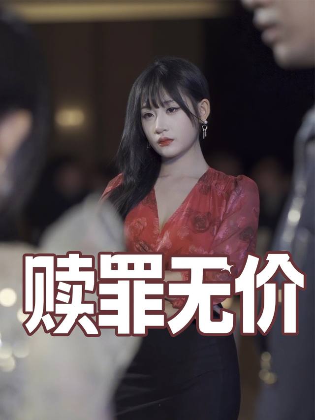 赎罪无价封面