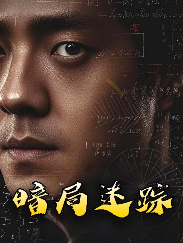 暗局迷踪封面