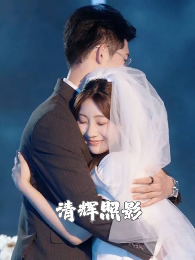 清辉照影封面