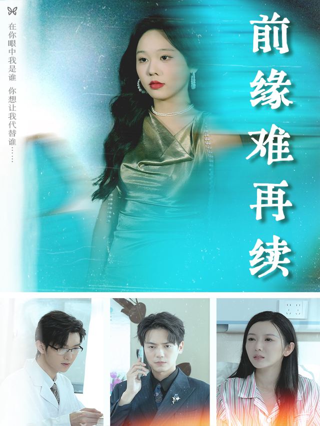 前缘难再续封面
