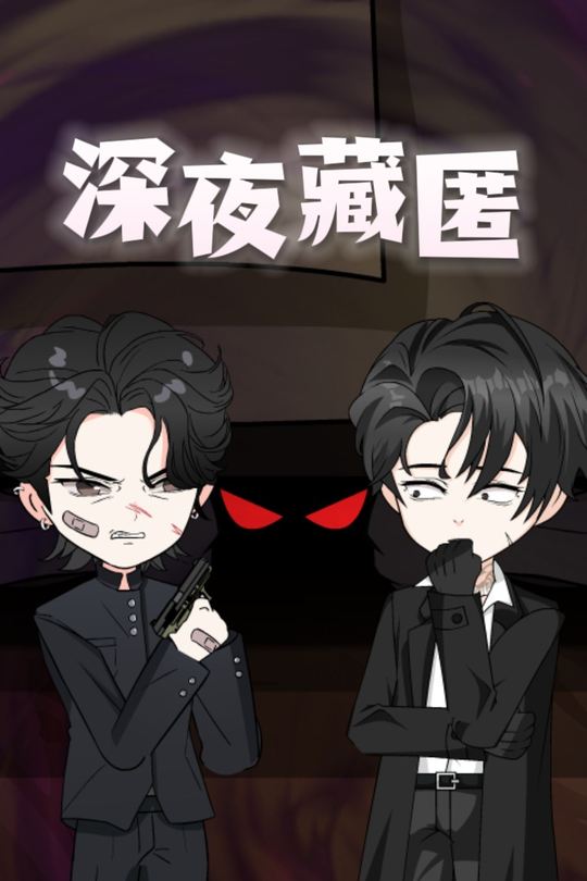 深夜藏匿封面