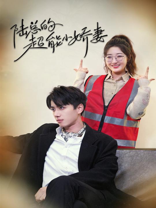 陆总的完美妻子封面