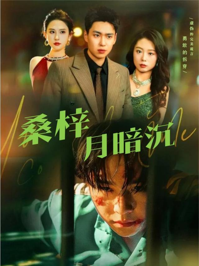 桑梓月暗沉封面